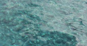 marine-wave-fish-water-holiday-fantastic